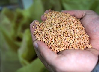 Türkiye 93 ülkeye tohum ihraç ediyor
