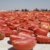 Kuru domates ihracatı 100 milyon dolara yaklaştı